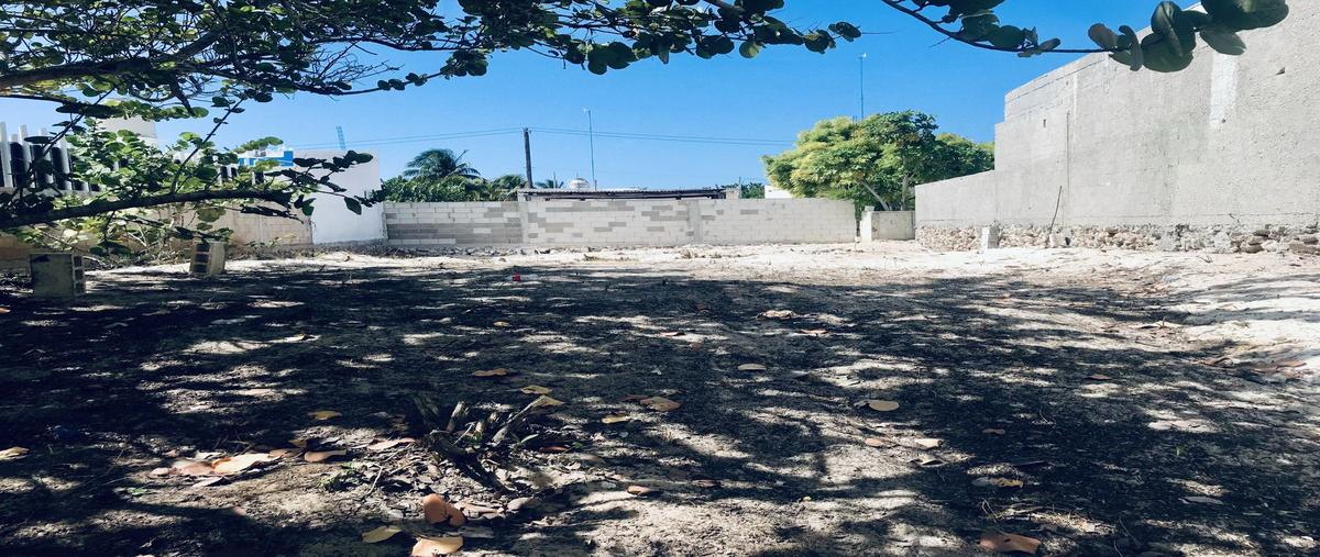 Foto de terreno habitacional en 19b , chelem, progreso, yucatán, 27751659 foto 03 Foto de terreno habitacional en venta en 19b , chelem, progreso, yucatán, 27751659 No. 03