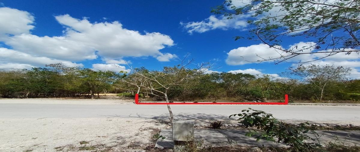 Foto de terreno habitacional en venta en 19-b , dzidzilché, mérida, yucatán, 0 No. 03