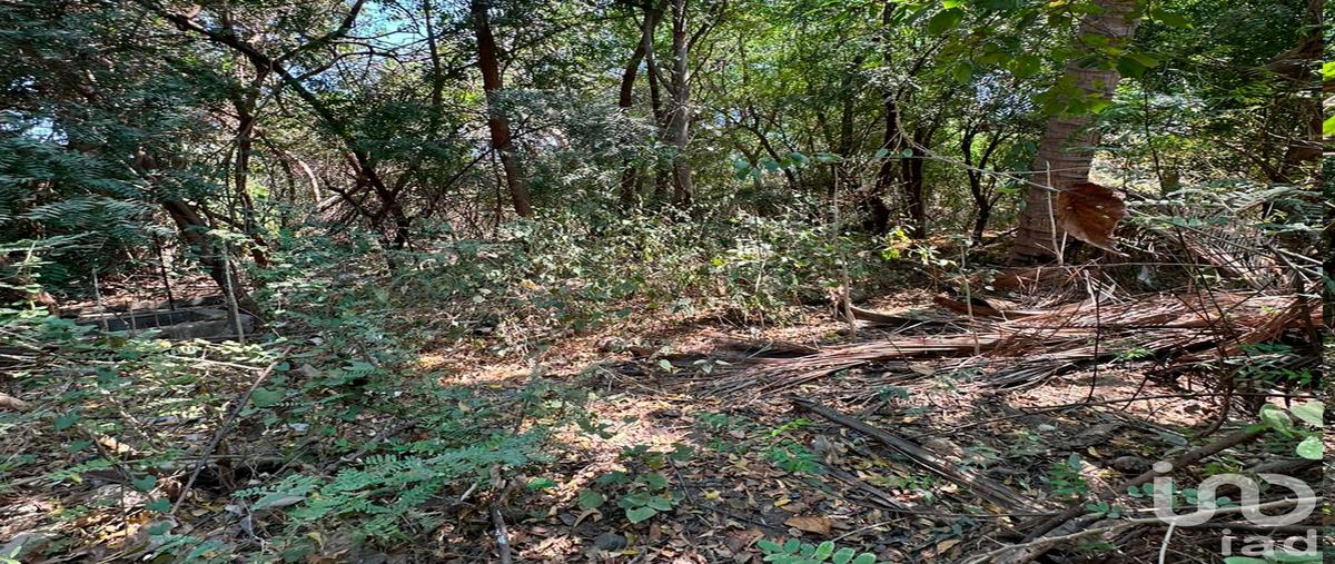 Foto de terreno habitacional en venta en 190826.6"n 1042035.0"w , monte orquídea, manzanillo, colima, 31099006 No. 05