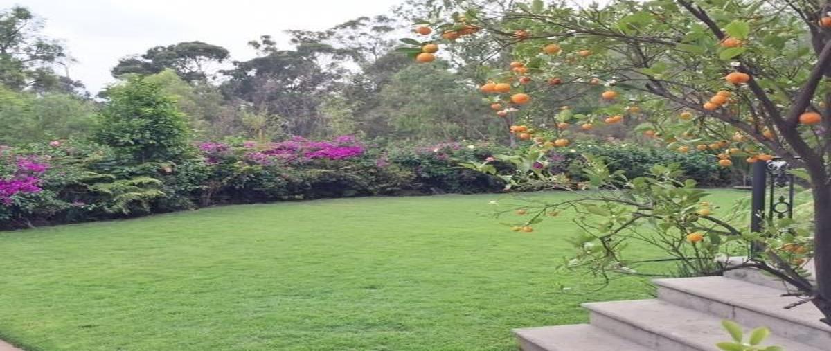 Foto de casa en venta en 1a cerrada de quiroga , josé maria pino suárez, álvaro obregón, df / cdmx, 28214757 No. 04