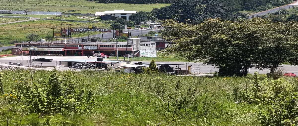 Foto de terreno habitacional en venta en  , 1a. y 2a. manzana de rincón de bucio (san isidro), timilpan, méxico, 0 No. 03