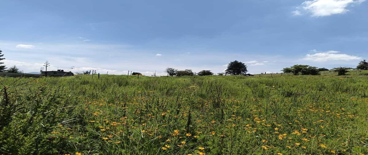 Foto de terreno habitacional en venta en  , 1a. y 2a. manzana de rincón de bucio (san isidro), timilpan, méxico, 0 No. 04