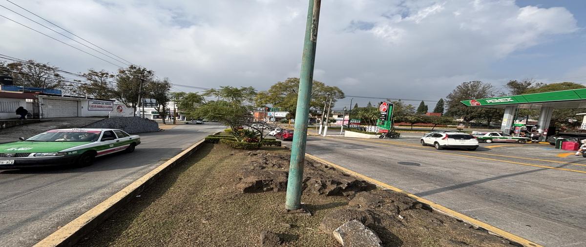 Foto de local en renta en 1ero de mayo , magisterial, xalapa, veracruz de ignacio de la llave, 0 No. 03