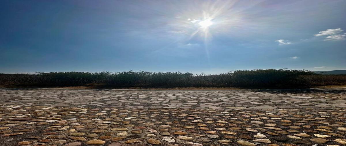 Foto de terreno habitacional en venta en  , 1o. de mayo, comonfort, guanajuato, 0 No. 05