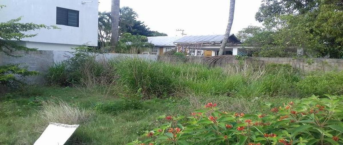 Foto de terreno habitacional en renta en  , 1 de mayo, ciudad madero, tamaulipas, 30298286 No. 04