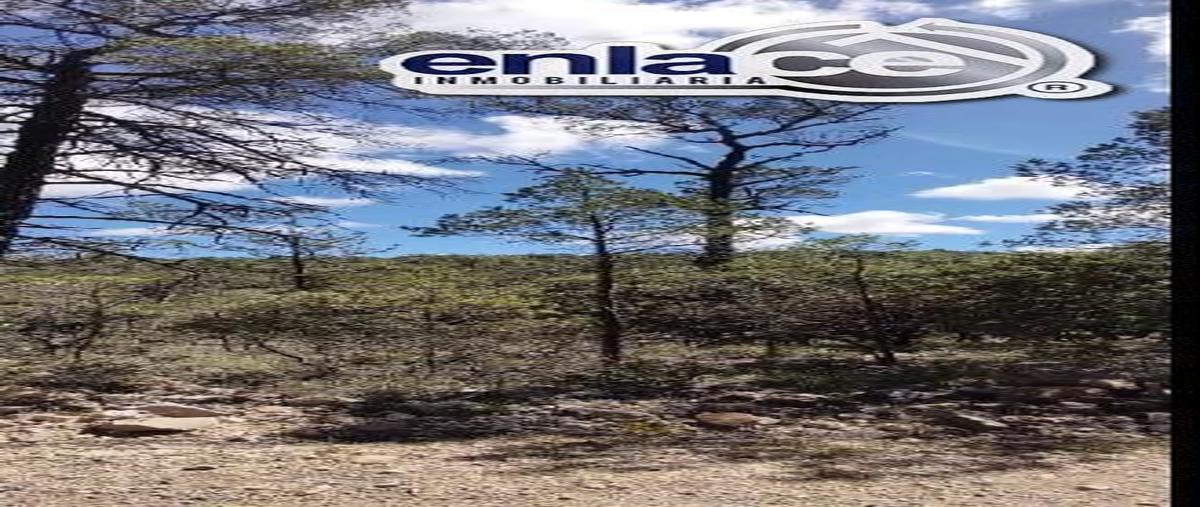 Foto de terreno habitacional en venta en  , 1 de mayo, durango, durango, 28070451 No. 03