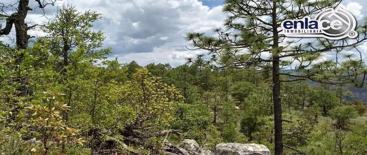 Foto de terreno habitacional en venta en  , 1 de mayo, durango, durango, 28070451 No. 04