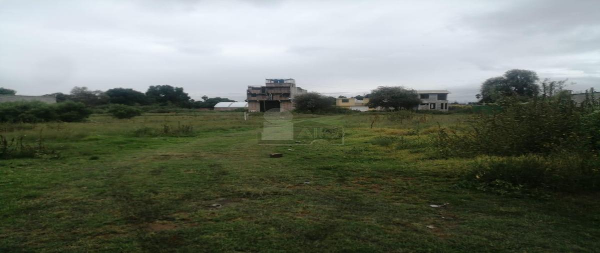 Foto de terreno habitacional en venta en 2 a huizachal 2, montecillo, texcoco, méxico, 28662171 No. 01