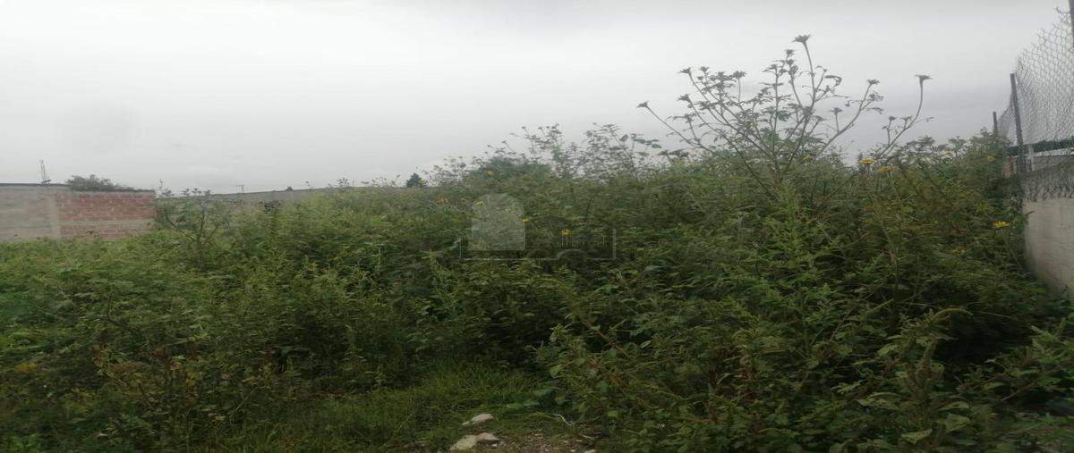 Foto de terreno habitacional en venta en 2 a huizachal 2, montecillo, texcoco, méxico, 28662171 No. 05