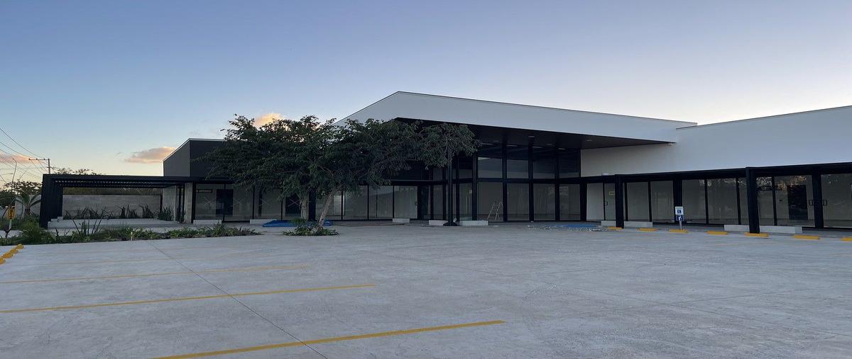 Foto de local en 2 bis , santa gertrudis copo, mérida, yucatán, 0 foto 05 Foto de local en renta en 2 bis , santa gertrudis copo, mérida, yucatán, 0 No. 05