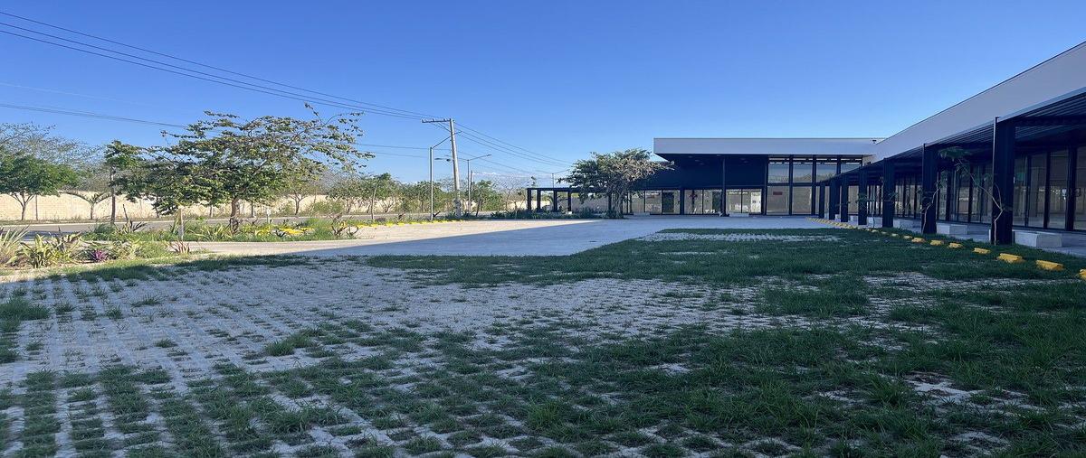 Foto de local en renta en 2 bis , santa gertrudis copo, mérida, yucatán, 31082353 No. 02