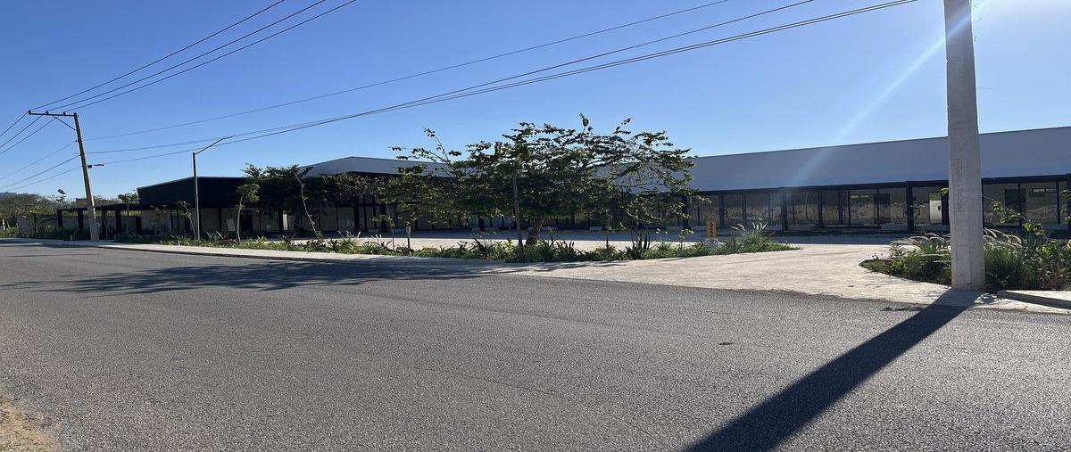 Foto de local en renta en 2 bis , santa gertrudis copo, mérida, yucatán, 31082353 No. 03