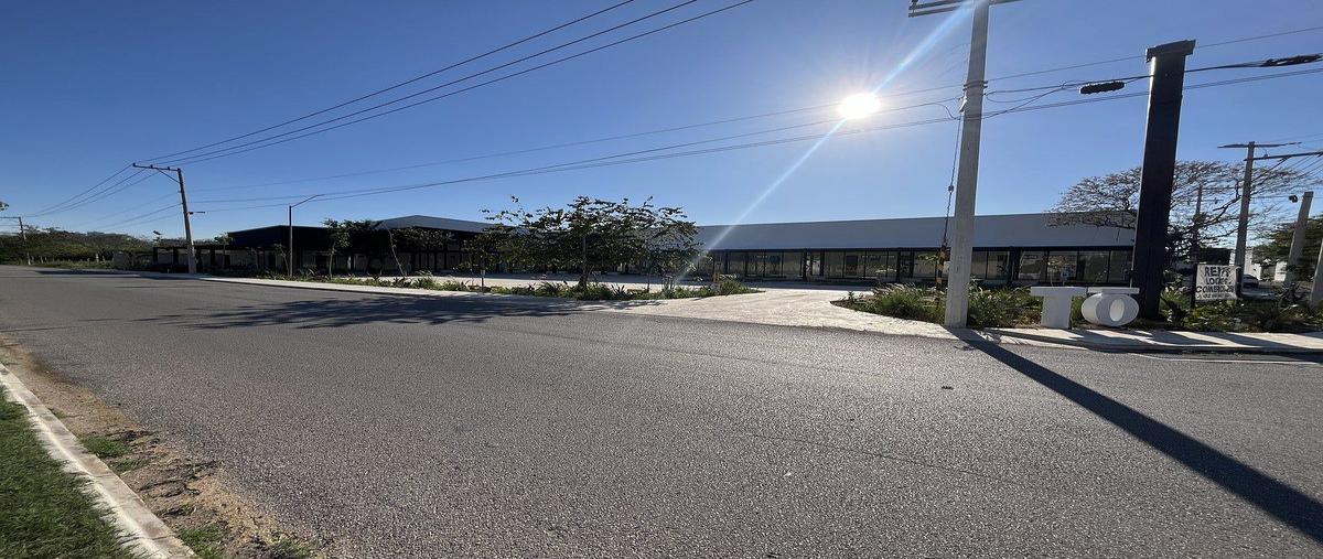 Foto de local en renta en 2 bis , santa gertrudis copo, mérida, yucatán, 31082353 No. 06