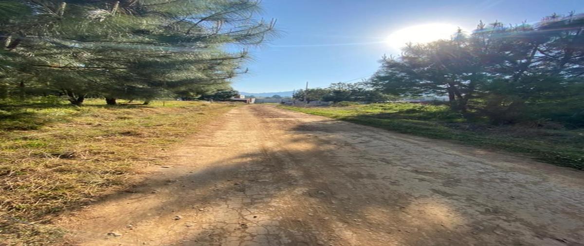 Foto de casa en venta en  , 2 caminos, zacatlán, puebla, 0 No. 03
