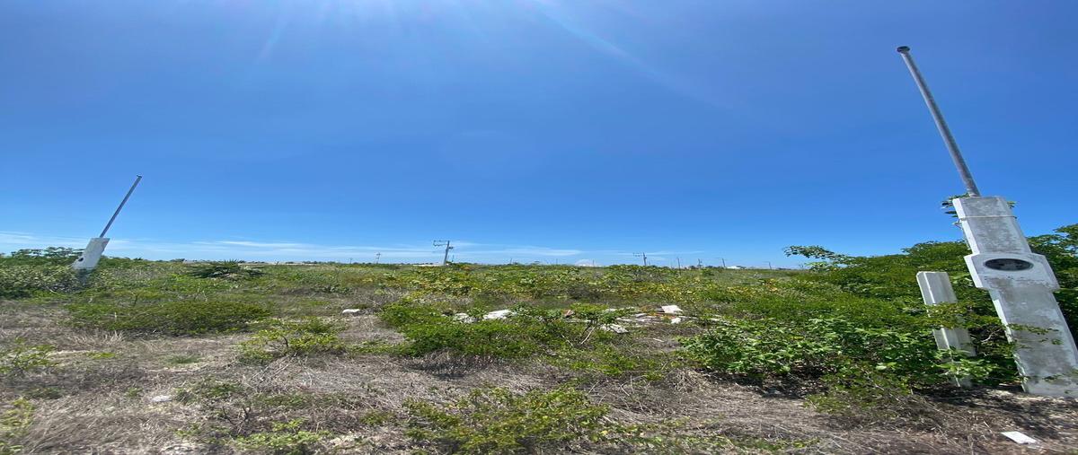 Foto de terreno habitacional en 2 , chicxulub puerto, progreso, yucatán, 0 foto 03 Foto de terreno habitacional en venta en 2 , chicxulub puerto, progreso, yucatán, 0 No. 03