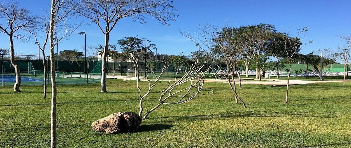 Foto de terreno habitacional en 2 , cholul, mérida, yucatán, 25157975 foto 05 Foto de terreno habitacional en venta en 2 , cholul, mérida, yucatán, 25157975 No. 05
