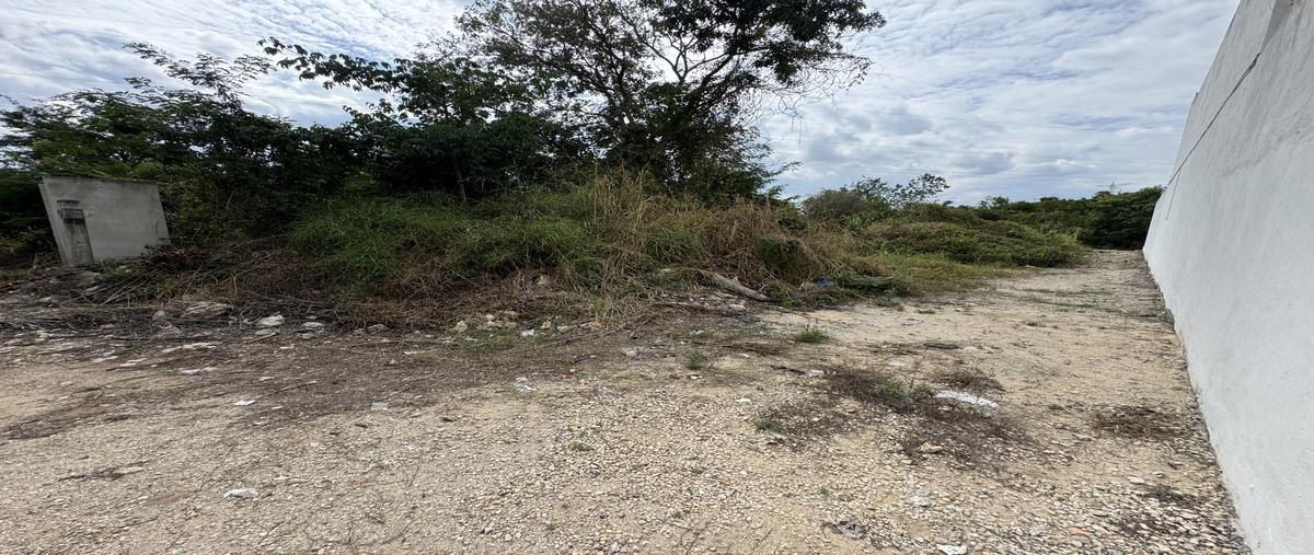 Foto de terreno habitacional en venta en 2 , cholul, mérida, yucatán, 30557798 No. 03
