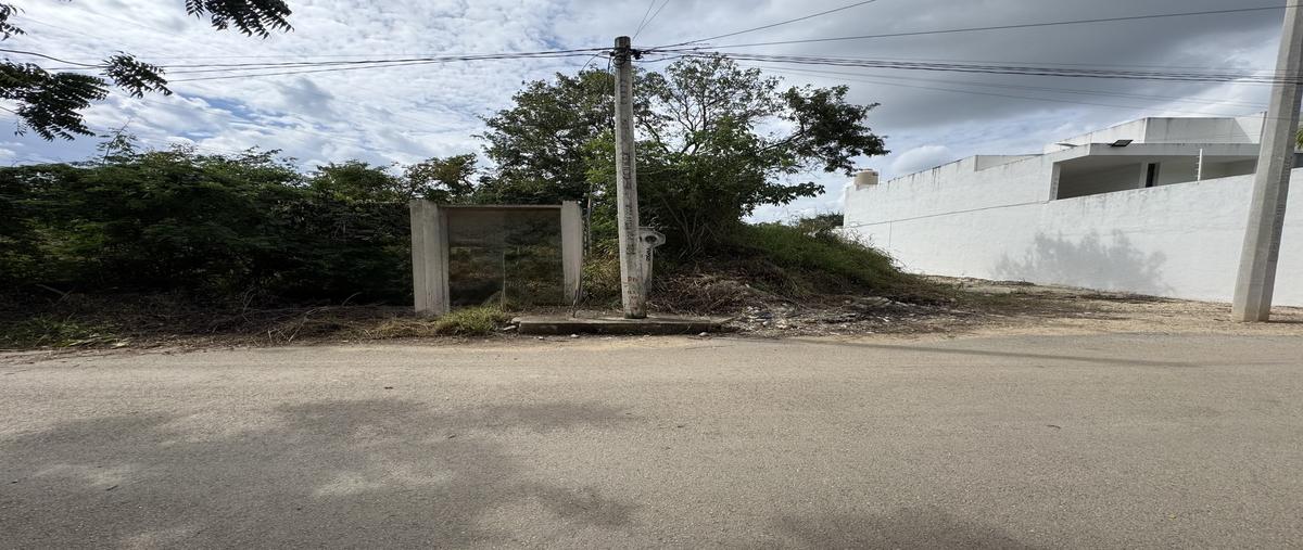 Foto de terreno habitacional en venta en 2 , cholul, mérida, yucatán, 30557798 No. 05