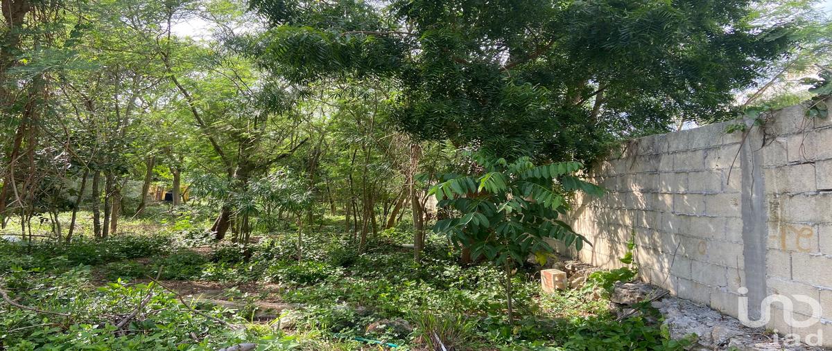 Foto de terreno habitacional en venta en 2 , conkal, conkal, yucatán, 31525693 No. 05