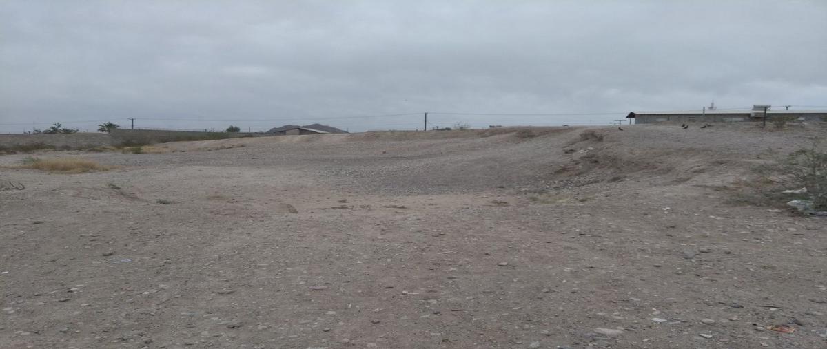Foto de terreno habitacional en venta en  , 2 de octubre, ojinaga, chihuahua, 10675643 No. 03