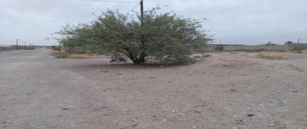 Foto de terreno habitacional en venta en  , 2 de octubre, ojinaga, chihuahua, 10675643 No. 04