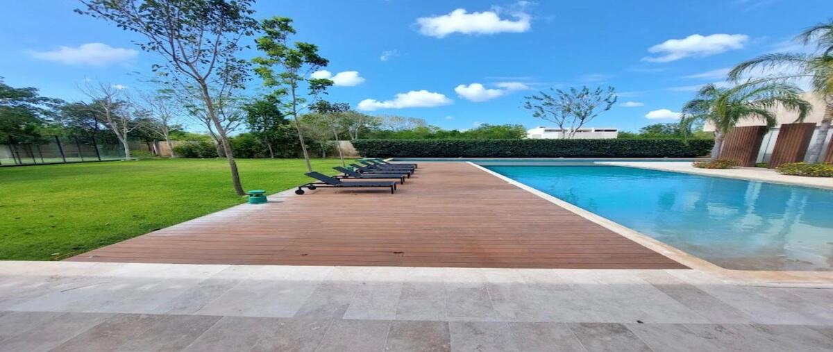 Foto de terreno habitacional en venta en 2 , dzibilchaltún, mérida, yucatán, 30410961 No. 05