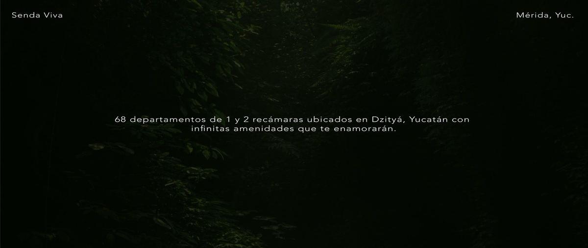 Foto de departamento en venta en 2 , dzitya, mérida, yucatán, 28361449 No. 04