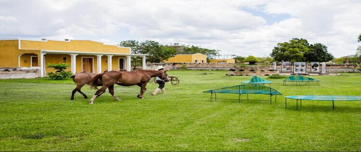 Foto de terreno habitacional en venta en 2 , izamal, izamal, yucatán, 25053984 No. 04