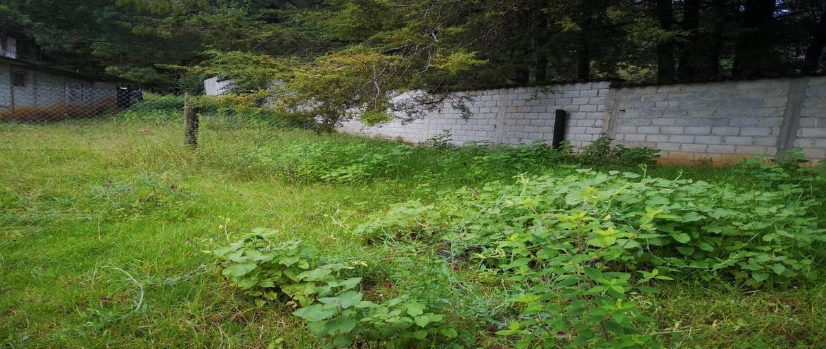 Foto de terreno habitacional en venta en 2 privada , san nicolás, san cristóbal de las casas, chiapas, 25549214 No. 03