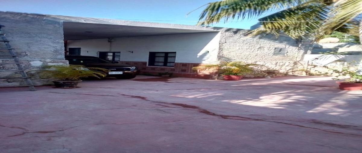 Foto de casa en venta en 2 , rio lagartos, río lagartos, yucatán, 27681142 No. 04