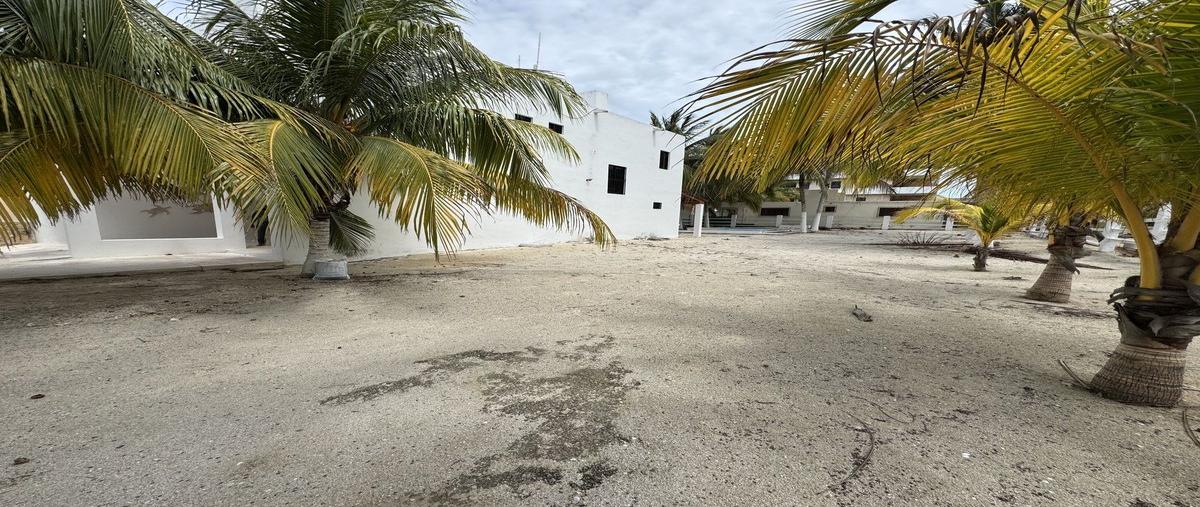 Foto de terreno habitacional en 2 , san diego, dzemul, yucatán, 30036235 foto 05 Foto de terreno habitacional en venta en 2 , san diego, dzemul, yucatán, 30036235 No. 05