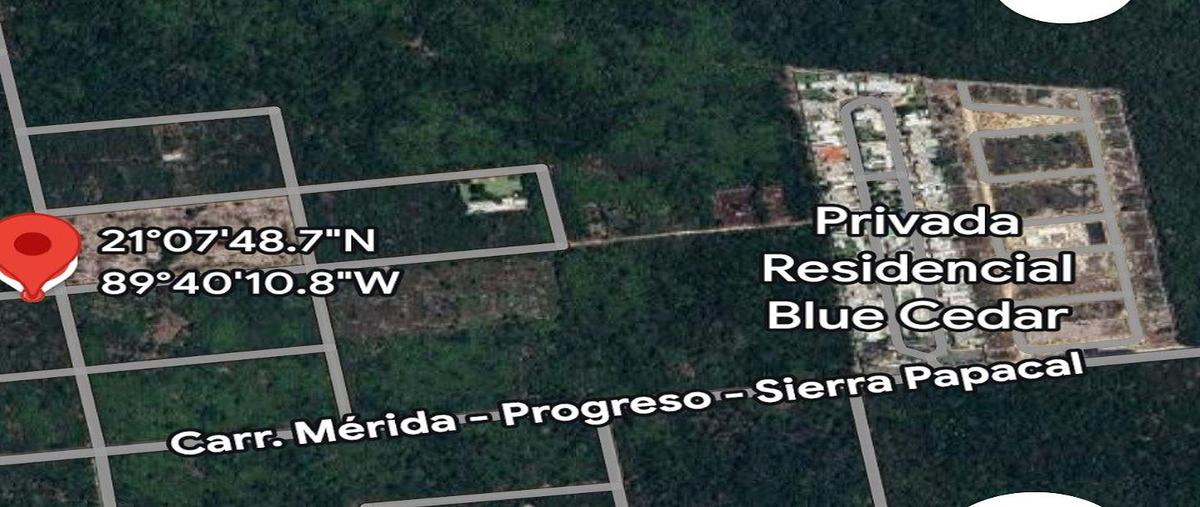 Foto de terreno habitacional en venta en 2 , sierra papacal, mérida, yucatán, 0 No. 03