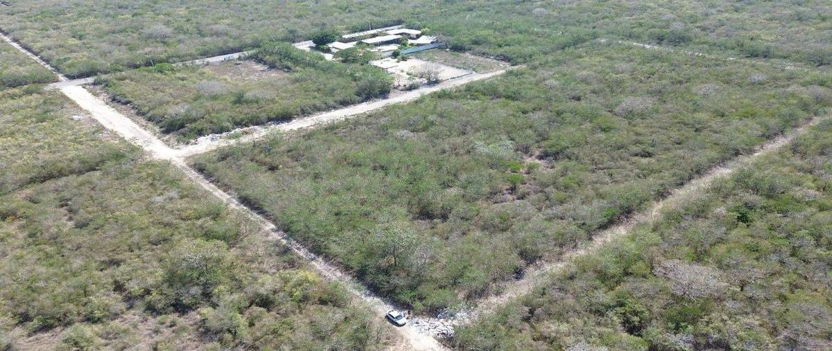 Foto de terreno habitacional en venta en 2 , sierra papacal, mérida, yucatán, 0 No. 05