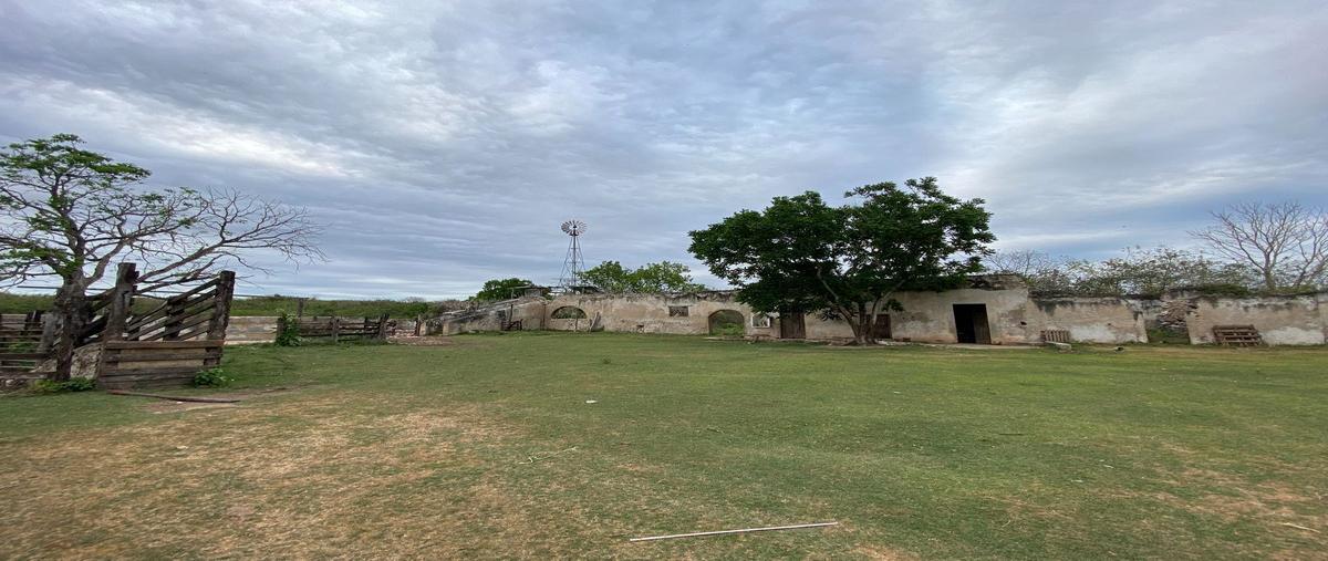 Foto de rancho en venta en 2 , tizimin centro, tizimín, yucatán, 26285178 No. 04