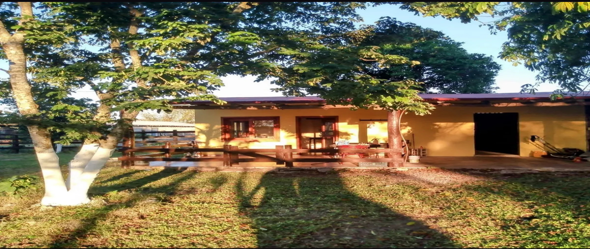 Foto de rancho en 2 , tizimin centro, tizimín, yucatán, 0 foto 01 Foto de rancho en venta en 2 , tizimin centro, tizimín, yucatán, 0 No. 01
