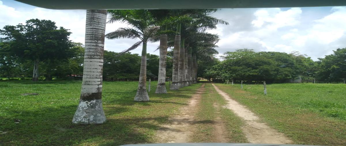 Foto de rancho en 2 , tizimin centro, tizimín, yucatán, 0 foto 03 Foto de rancho en venta en 2 , tizimin centro, tizimín, yucatán, 0 No. 03