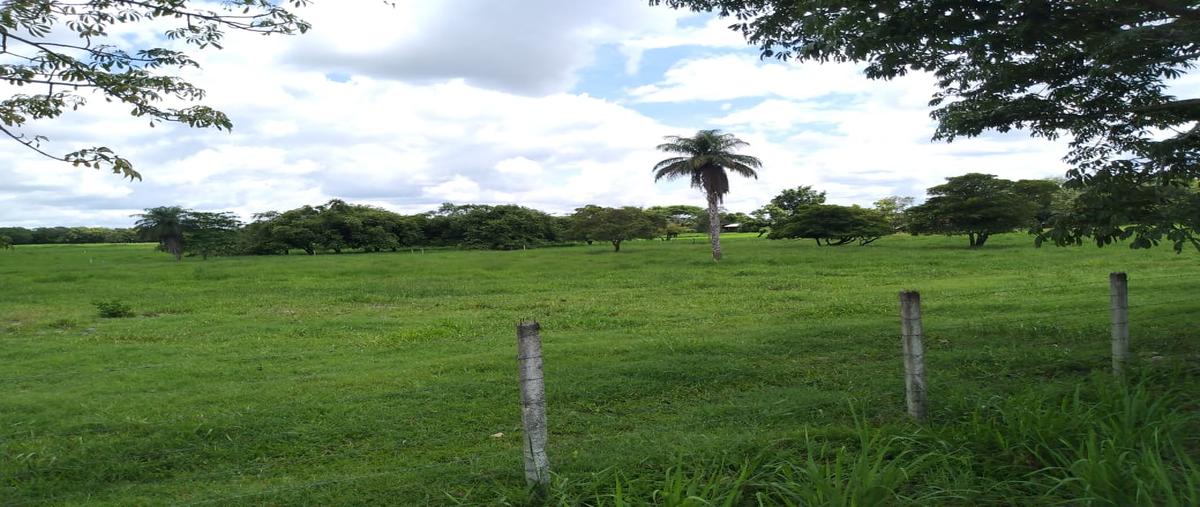 Foto de rancho en 2 , tizimin centro, tizimín, yucatán, 0 foto 04 Foto de rancho en venta en 2 , tizimin centro, tizimín, yucatán, 0 No. 04