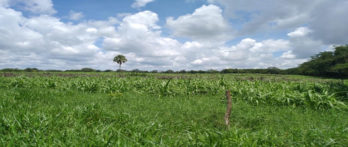 Foto de rancho en 2 , tizimin centro, tizimín, yucatán, 0 foto 05 Foto de rancho en venta en 2 , tizimin centro, tizimín, yucatán, 0 No. 05