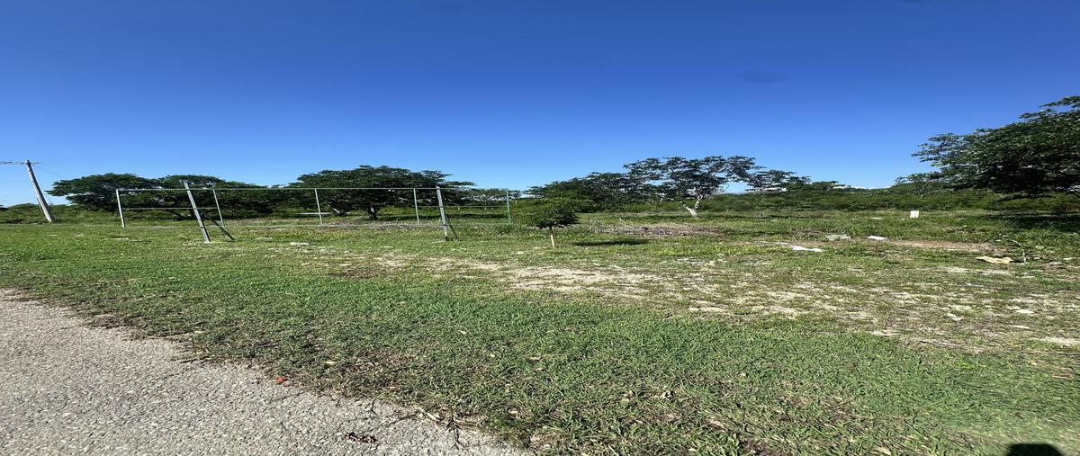 Foto de terreno comercial en venta en 2 , xcanatún, mérida, yucatán, 30410963 No. 03