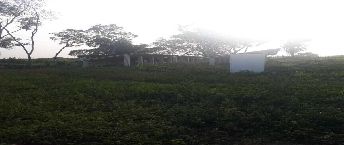 Foto de rancho en venta en 20 , alfonso caso, tzucacab, yucatán, 27686473 No. 03