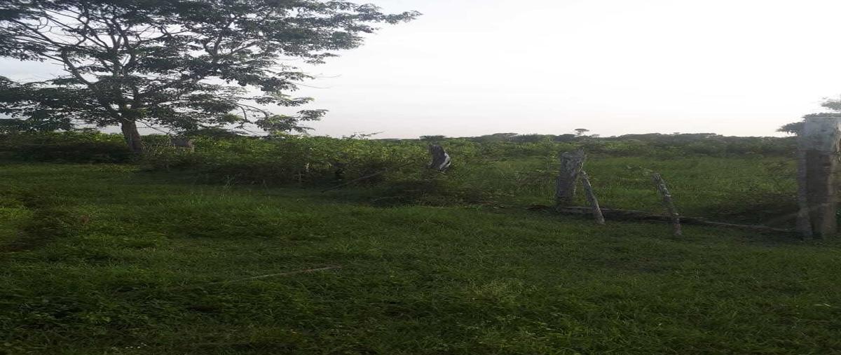 Foto de rancho en venta en 20 , alfonso caso, tzucacab, yucatán, 27686473 No. 04