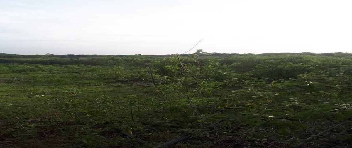 Foto de rancho en venta en 20 , alfonso caso, tzucacab, yucatán, 27686473 No. 05