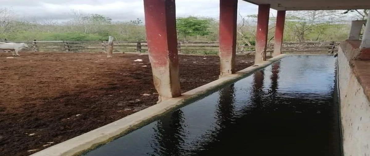 Foto de rancho en venta en 20 , buctzotz, buctzotz, yucatán, 0 No. 03