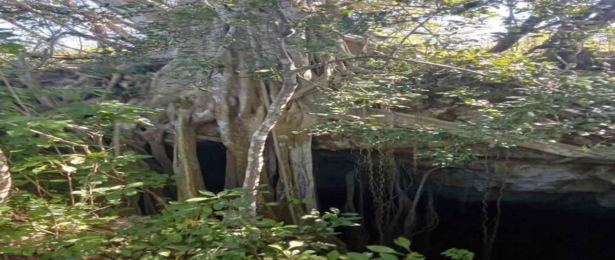Foto de rancho en venta en 20 , buctzotz, buctzotz, yucatán, 0 No. 05