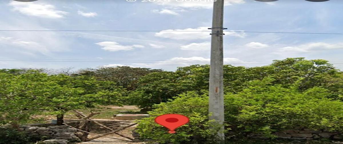 Foto de rancho en venta en 20 , centro hunucmá, hunucmá, yucatán, 29548999 No. 03