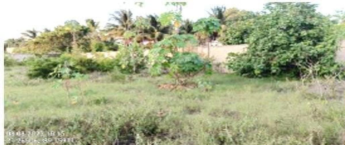 Foto de terreno habitacional en 20 , chelem, progreso, yucatán, 0 foto 03 Foto de terreno habitacional en venta en 20 , chelem, progreso, yucatán, 0 No. 03
