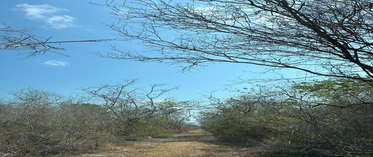 Foto de terreno industrial en venta en 20 , cheuman, mérida, yucatán, 30399784 No. 03