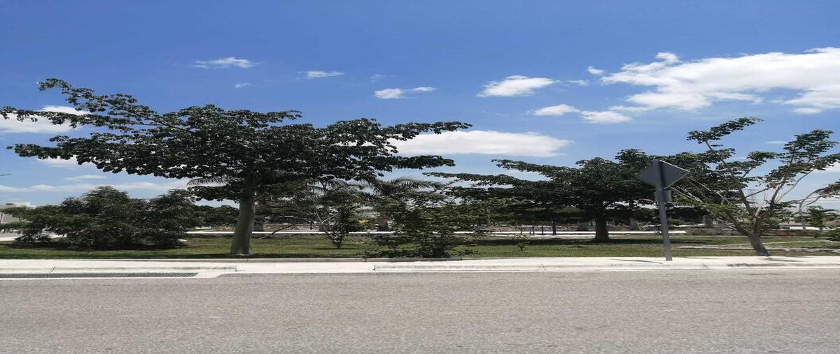 Foto de terreno habitacional en venta en 20 , cholul, mérida, yucatán, 0 No. 03