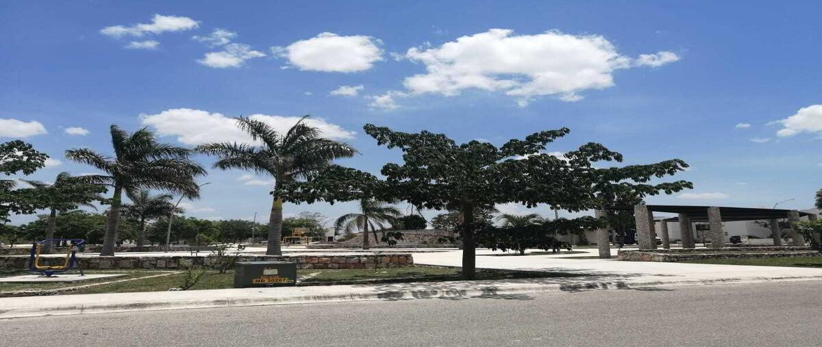 Foto de terreno habitacional en venta en 20 , cholul, mérida, yucatán, 0 No. 05