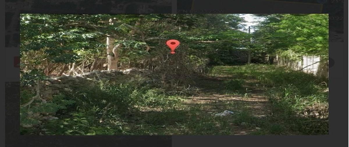 Foto de terreno habitacional en 20 , cholul, mérida, yucatán, 0 foto 04 Foto de terreno habitacional en venta en 20 , cholul, mérida, yucatán, 0 No. 04